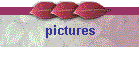 pictures